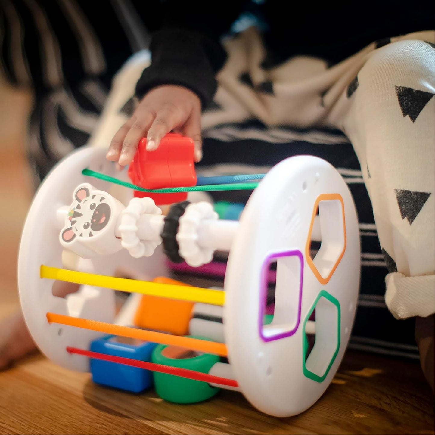 Baby Einstein, Zen and Cal's Playground