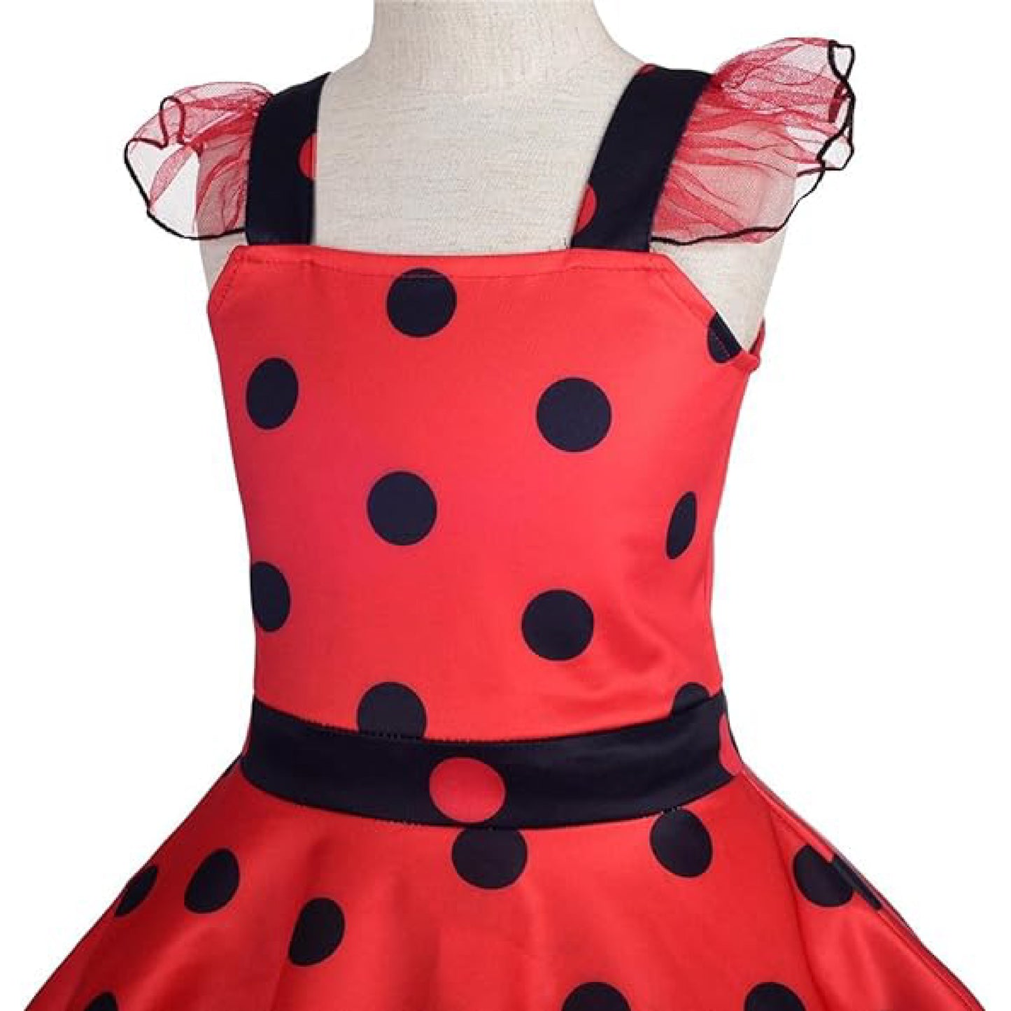 Disfraz Vestido Ladybug